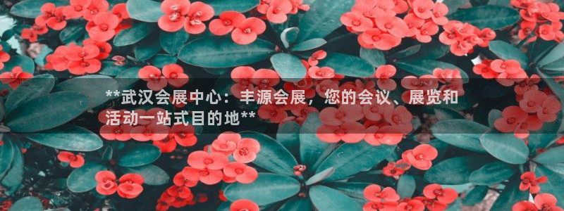 果博公司客服微信