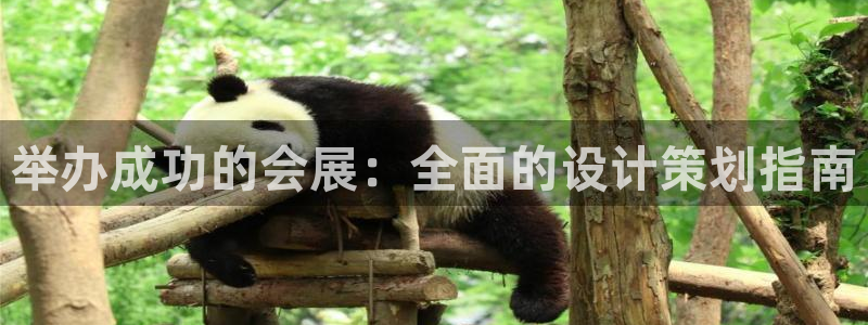 果搏代理：举办成功的会展：全面的设计策划指南