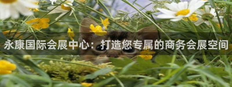 果博公司直属会员开户：永康国际会展中心：打造您专属的商务会展空间