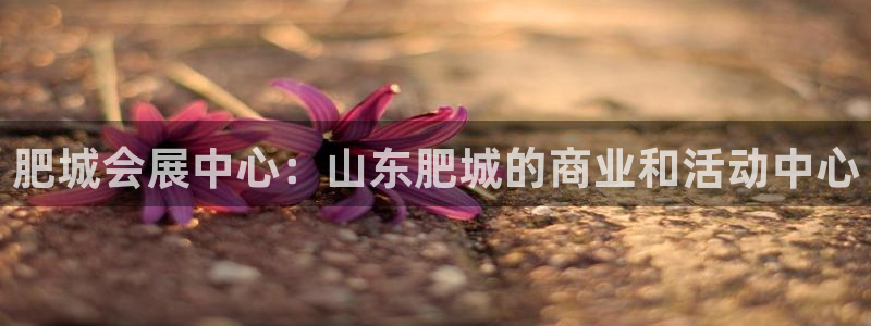 果博注册平台怎么注册的：肥城会展中心：山东肥城的商业和活动中心