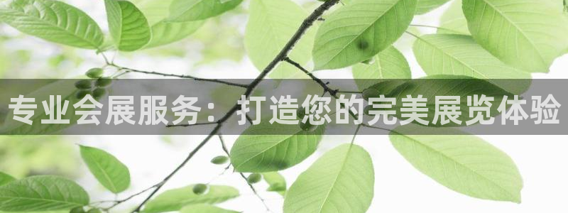 果博注册客服电话是多少：专业会展服务：打造您的完美展览体验