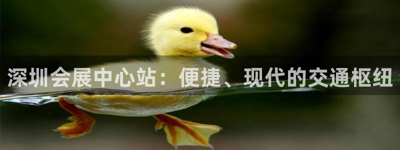 果博官网客服电话号码是多少：深圳会展中心站：便捷、现代的交通枢纽