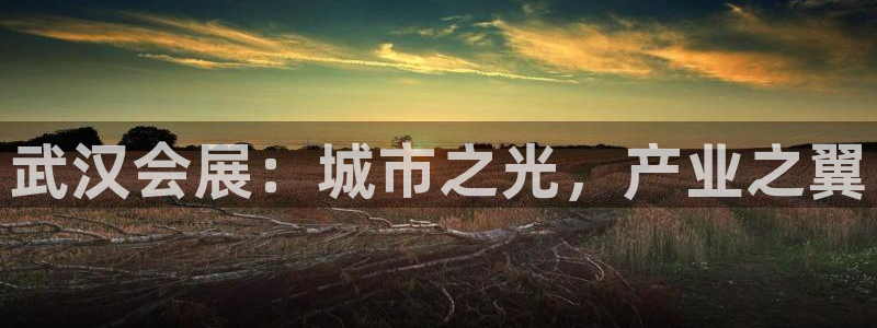 果博平台真实吗安全吗可信吗安全吗：武汉会