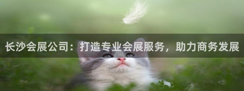 果博注册会员要钱吗：长沙会展公司：打造专业会展服务，助力商务发展
