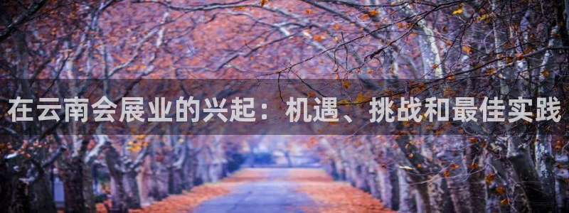 果博平台开户电话号码：在云南会展业的兴起