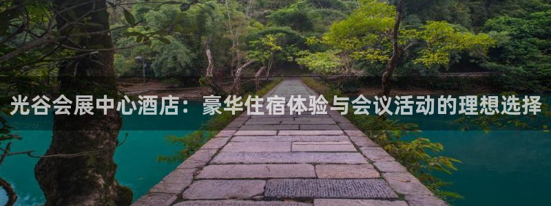 果博公司客服怎么样：光谷会展中心酒店：豪华住宿体验