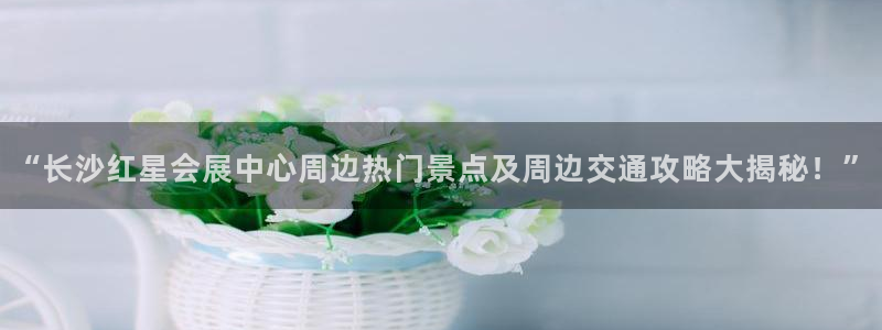 果博怎么注册账号和密码：“长沙红星会展中