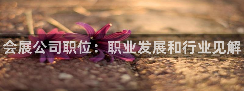 果博官方网：会展公司职位：职业发展和行业