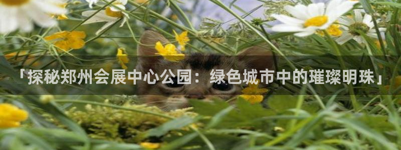 果博公司怎么注册会员：「探秘郑州会展中心