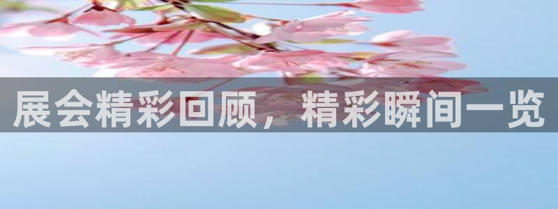 果博平台真实吗安全吗可信吗安全吗：展会精