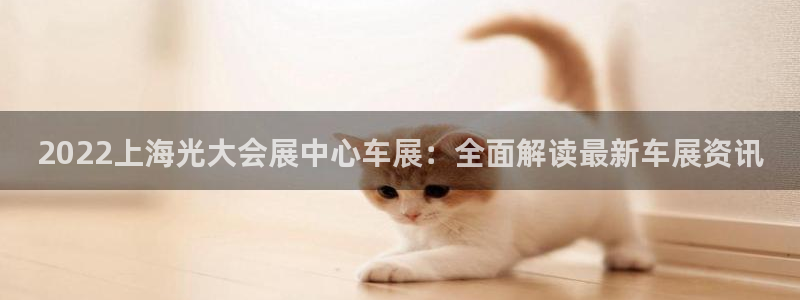 苹果电脑怎么下载博弈大师等软件：2022上海光大会展中心车展：全面解读最新车展资讯