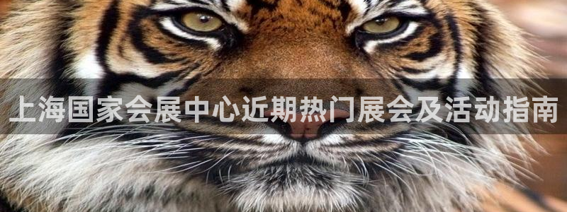 果博平台真实吗知乎怎么样：上海国家会展中心近期热门展会及活动指南