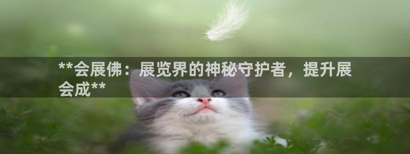 果博平台电话：**会展佛：展览界的神秘守护者，提升展
会成**