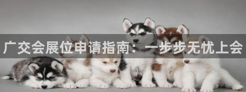 果博官网电话：广交会展位申请指南：一步步无忧上会