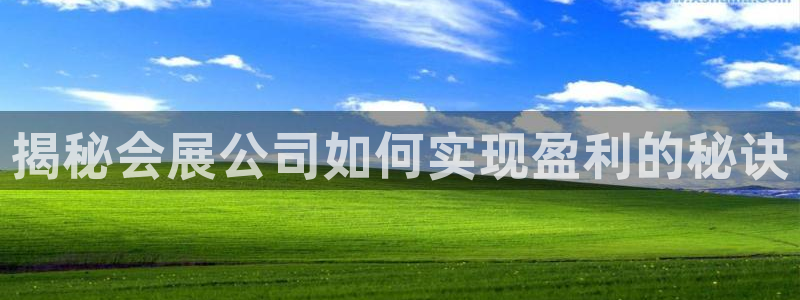 果博网站二维码：揭秘会展公司如何实现盈利的秘诀