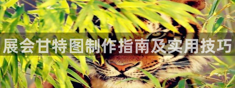 果博平台真实吗安全吗可信吗是真的吗：展会