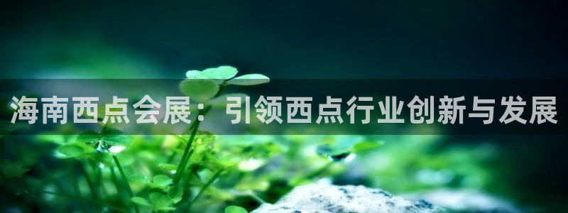 果博注册平台怎么注册：海南西点会展：引领
