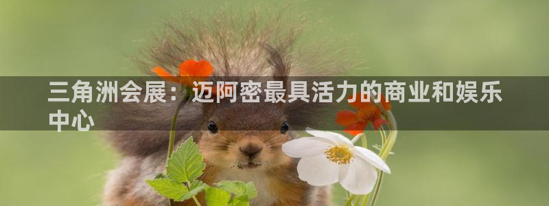 果博公司客服电话多少：三角洲会展：迈阿密