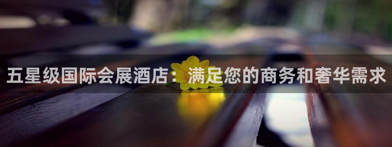 果博公司直属会员开户